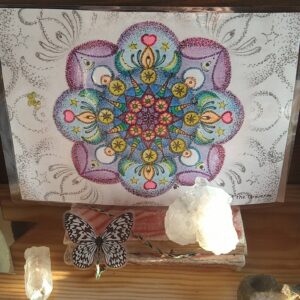 Flower of the Universe